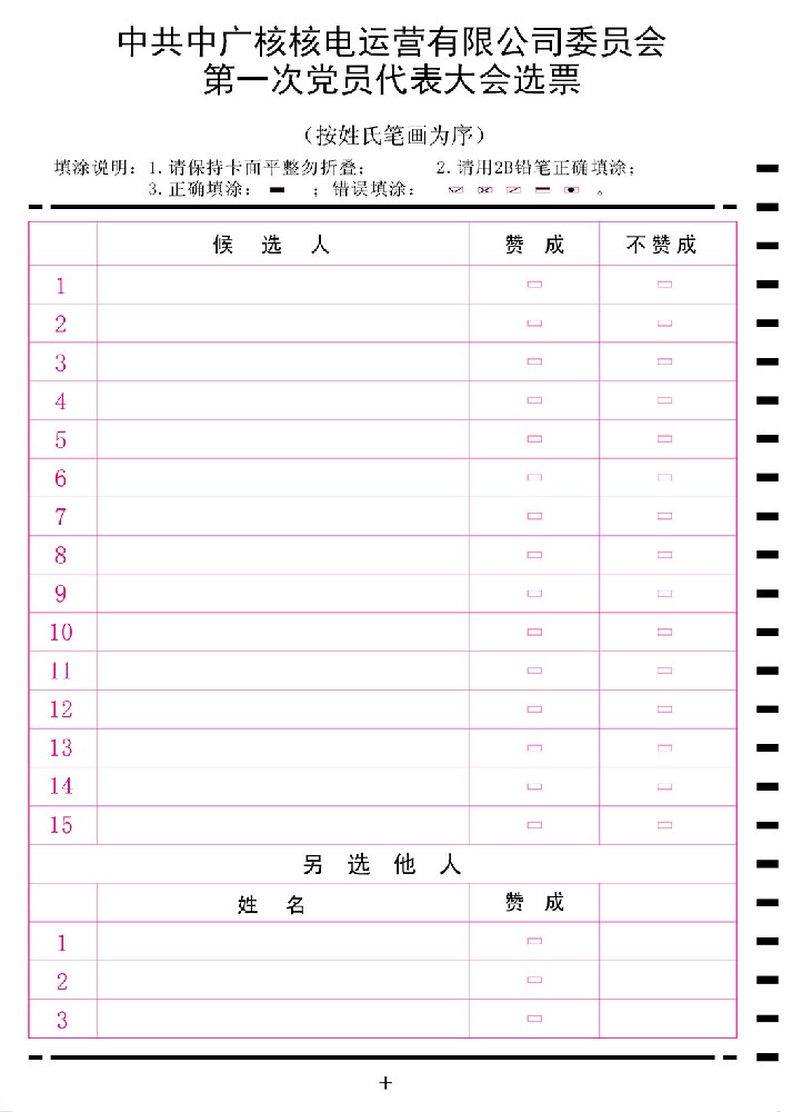 能源集團(tuán)公司選舉